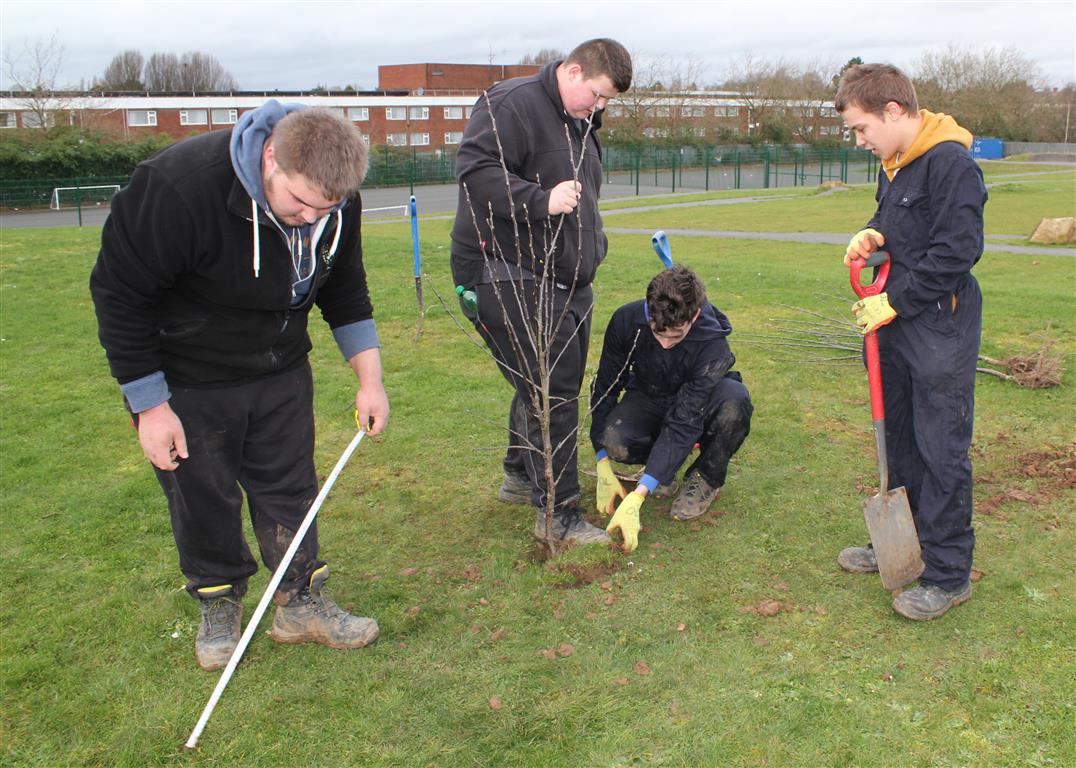 Ellesmere College fruit tree planting 2 (1)