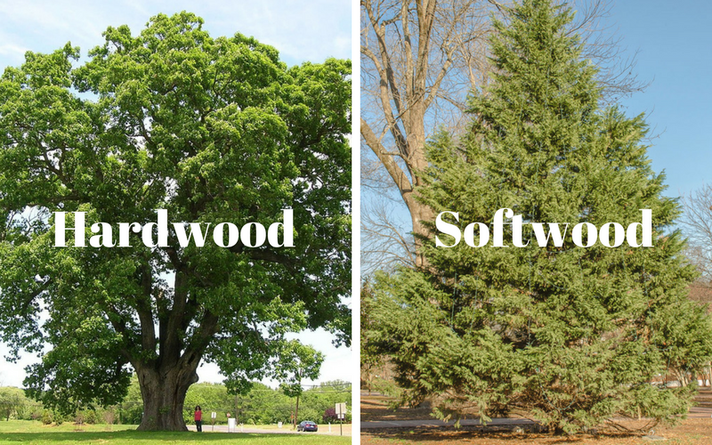 Hardwood and Softwood