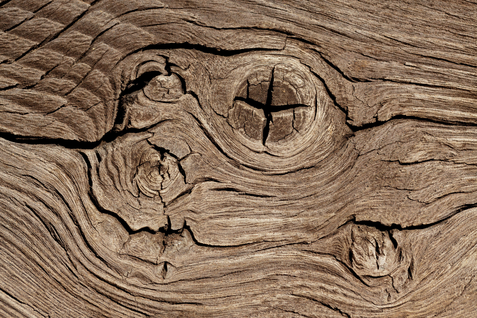 wood-knots