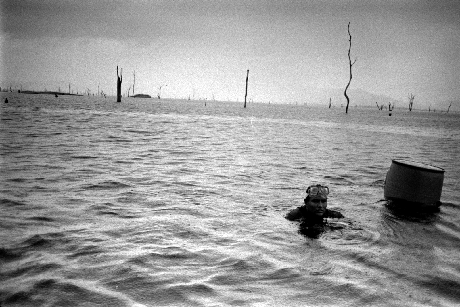 Sunken Logs and Water Reclamation