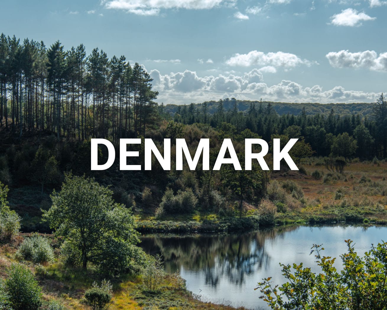 Denmarklandscape_2000x